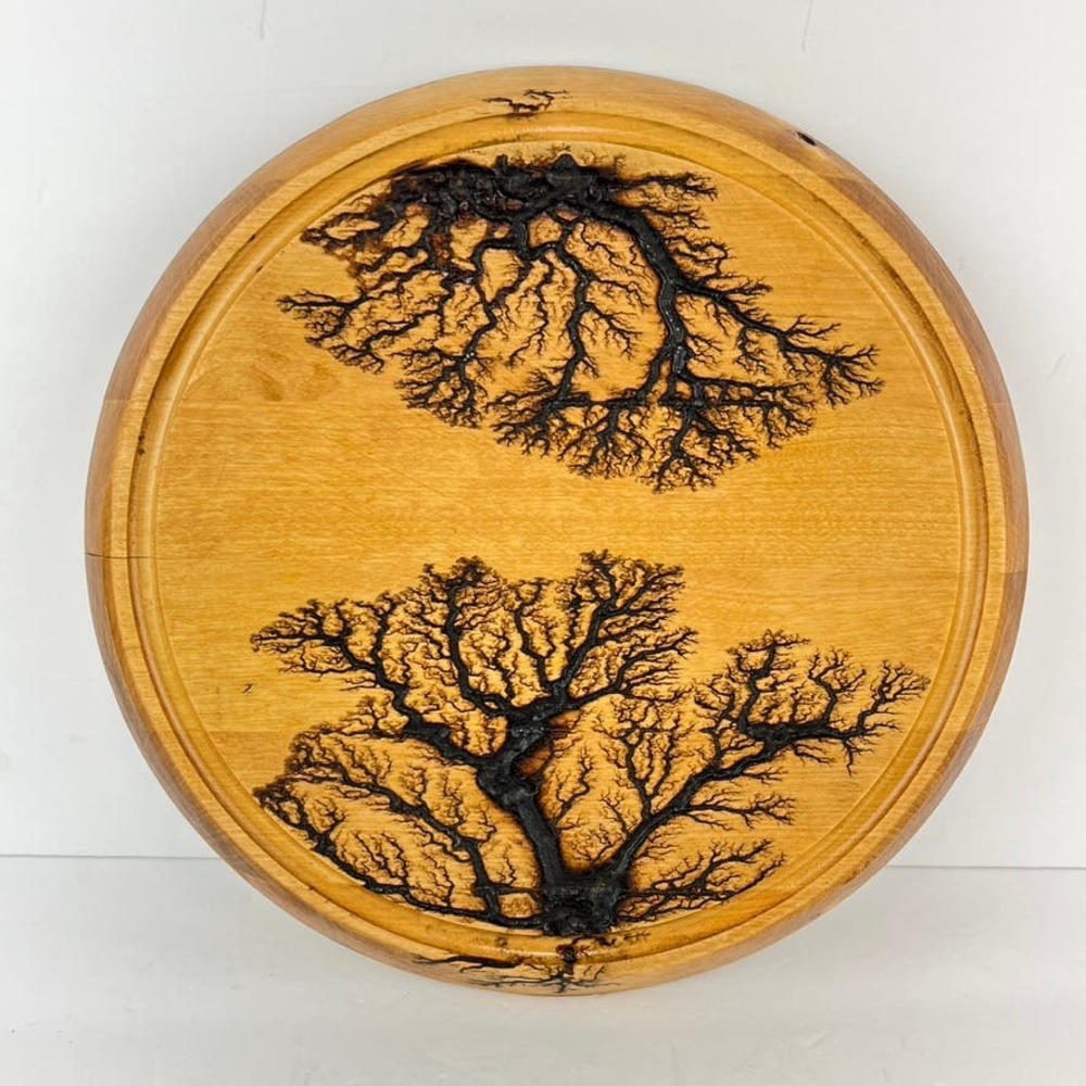 Southern Living 12" Round Wood Wall Art Trivet Fracture Burnt Tree